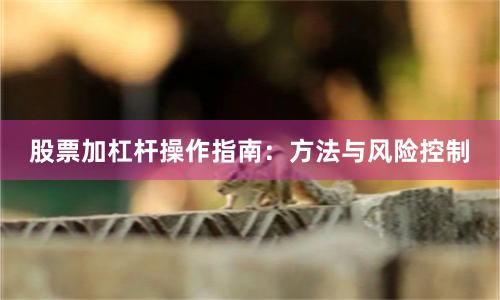 股票加杠杆操作指南：方法与风险控制