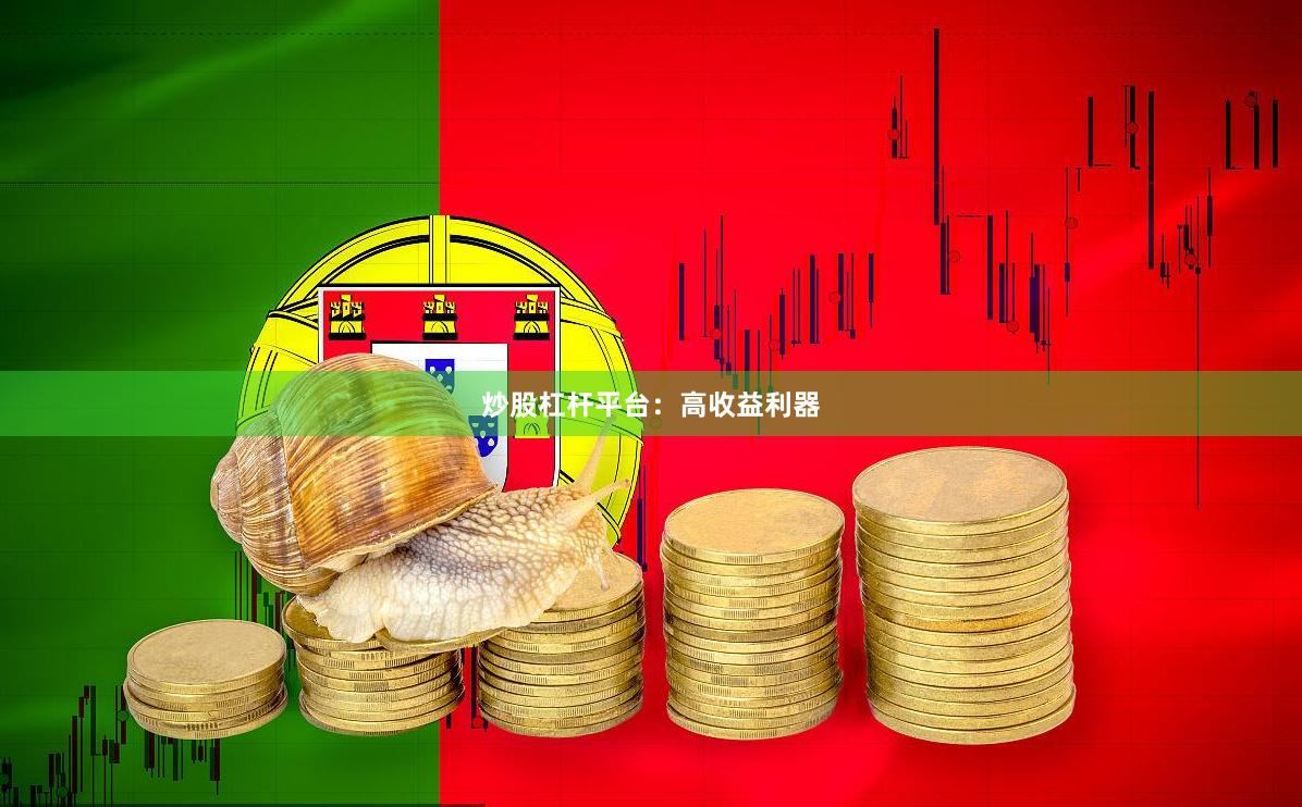 炒股杠杆平台：高收益利器